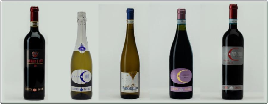 Shop online vendita vini Langhe Piemonte Gallina Giacinto Santo Stefano Belbo