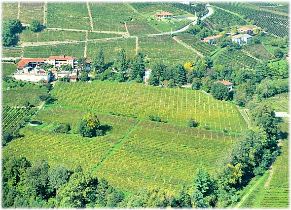 Casa Vinicola Agriturismo Gallina Santo Stefano Belbo -Vista aerea